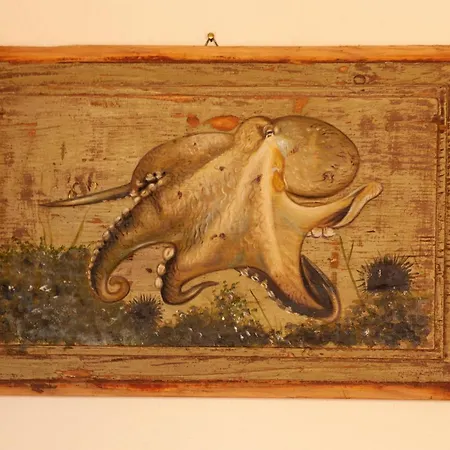 Portovecchio Appartamento